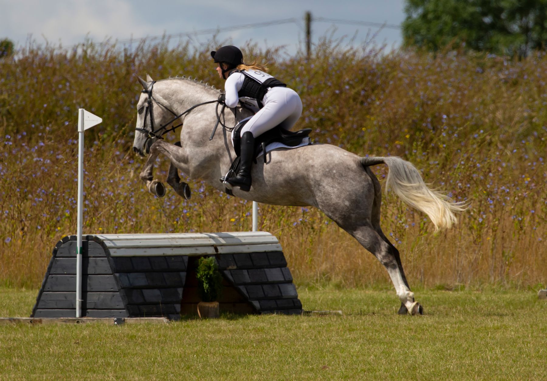 Equestrian rider jumping an obstacle, illustrative sport photography